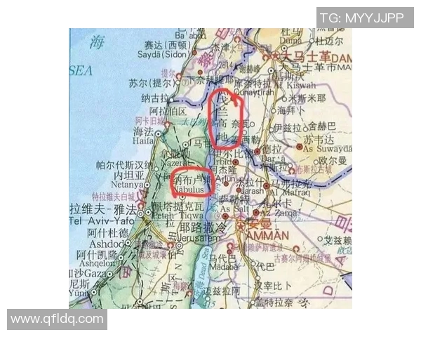 伊朗与叙利亚比赛是否会出现放水现象的深度分析与探讨